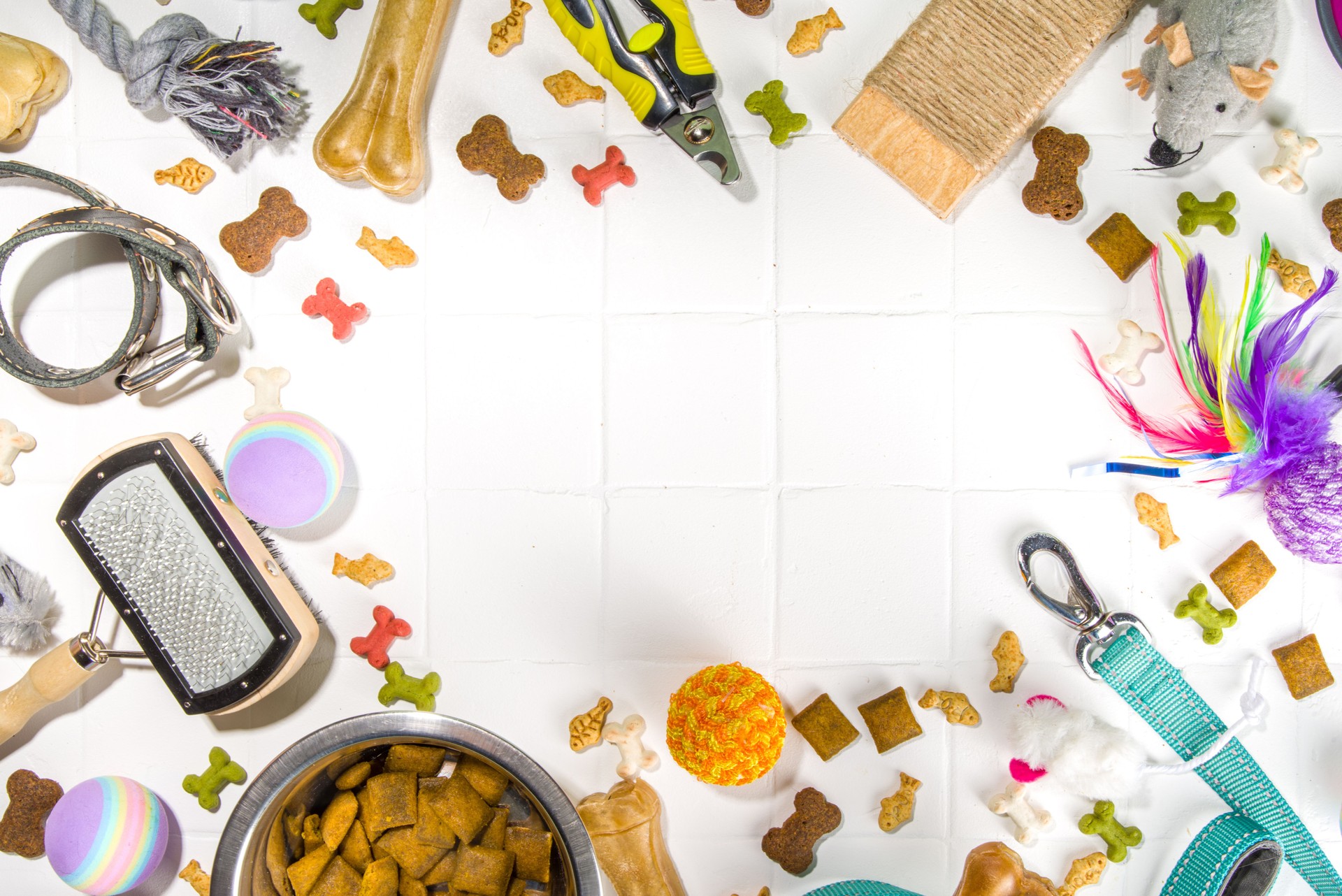 Pet food and accessories
