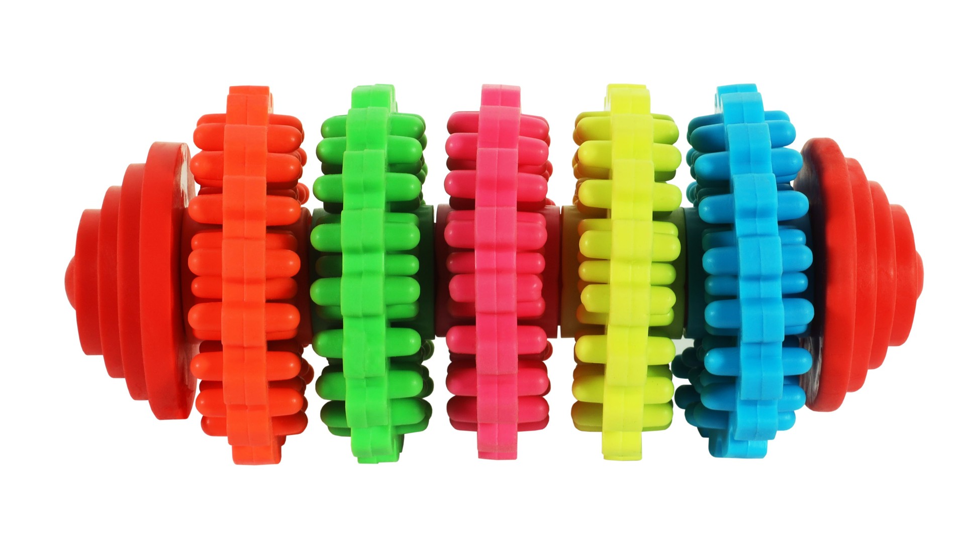 Colorful gears modern funny dog bone smart pet toy with many gears isolated on white background. Pet toys concept